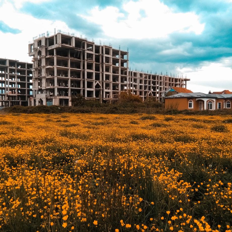 Photo by Endri Killo on Unsplash